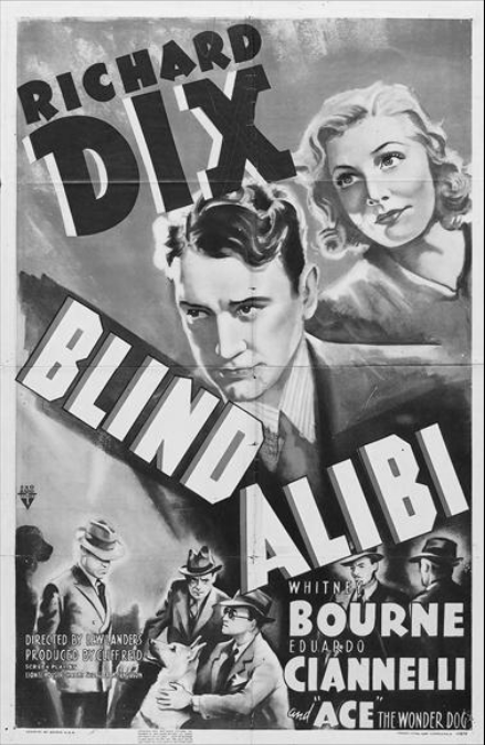BLIND ALIBI 